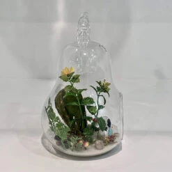 5.5" X 8" Apple Terrarium Candle Holder - 12 Pieces 12 5.5" X 8" Apple Terrarium Candle Holder - 12 Pieces -Home Decoration Discount 81gXB0CZmLL. AC SL1500 72274.1661462585.1280.1280