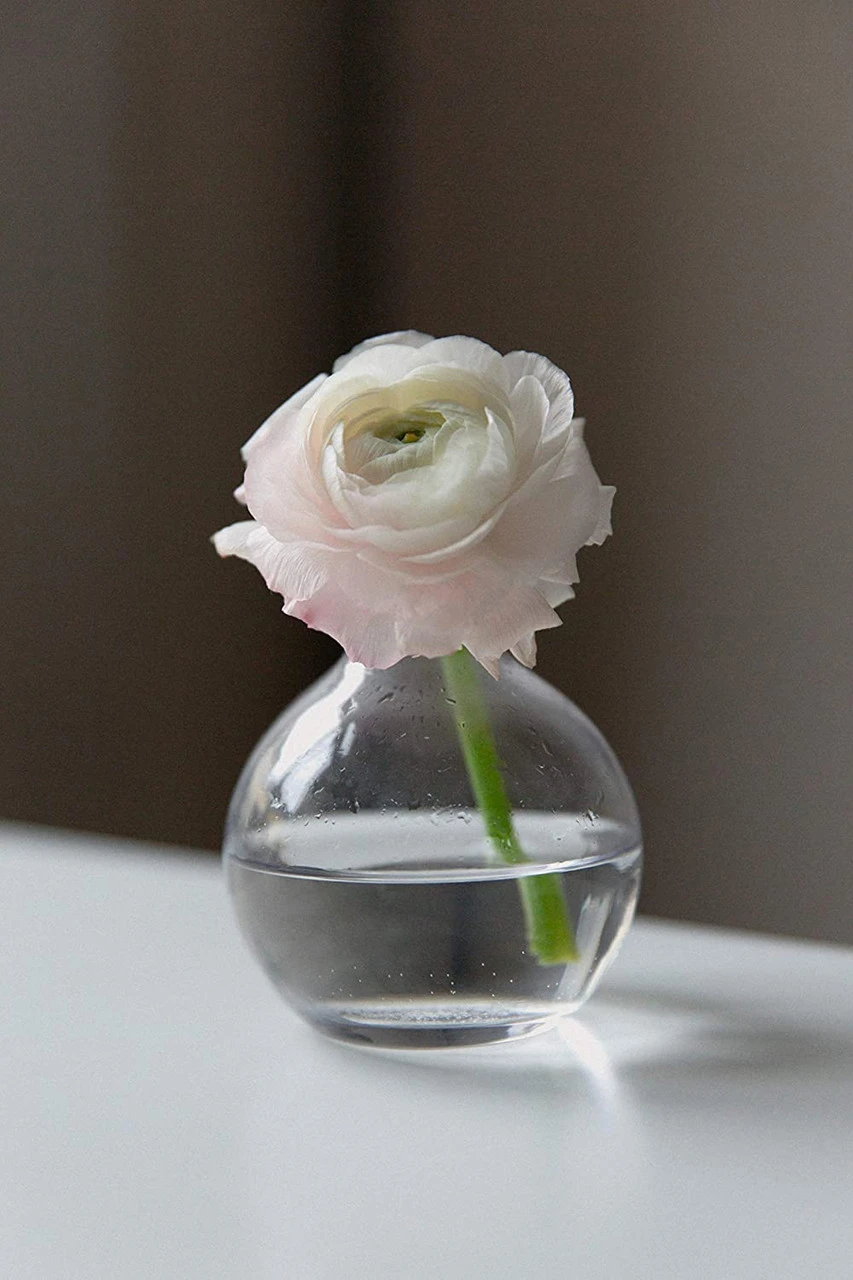 4 Inch Clear Small Round Bud Vase - 24 Pieces 4 4 Inch Clear Small Round Bud Vase - 24 Pieces - Image 4