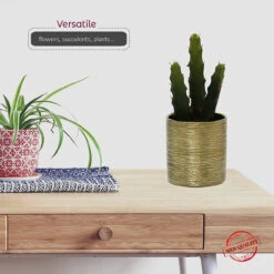 5.5" X 5" Gold Cylinder Ceramic - 12 Pieces -Home Decoration Discount 81k4S6zKubL. AC SL1500 52897.1661787391.1280.1280