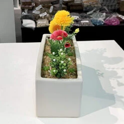 12" X 4" X 4" White Long Rectangle - 6 Pieces 12 12" X 4" X 4" White Long Rectangle - 6 Pieces -Home Decoration Discount 81qtIQM9XaL. AC SL1500 93064.1661762625.1280.1280