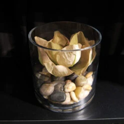 3" X 3.25" Cylinder Glass Vase - 24 Pieces 13 3" X 3.25" Cylinder Glass Vase - 24 Pieces -Home Decoration Discount 81tS2FZqR2L. AC SL1500 52203.1661291760.1280.1280