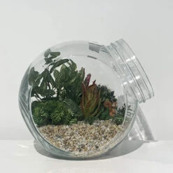 Large Tilted Cookie Jar - 6 Pieces 11 Large Tilted Cookie Jar - 6 Pieces -Home Decoration Discount 81uPqBLgIrL. AC SL1500 74710.1661703693.1280.1280