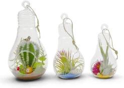 4.25" X 8.25" Hanging Bulb Terrarium Candle Holder - 24 Pieces 11 4.25" X 8.25" Hanging Bulb Terrarium Candle Holder - 24 Pieces -Home Decoration Discount 81w8Qx1jUqL. AC SL1500 17858.1661953231.1280.1280