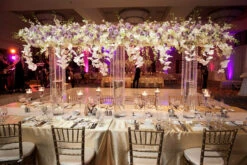 6" X 26" Cylinder Glass Vase - 4 Pieces 12 6" X 26" Cylinder Glass Vase - 4 Pieces -Home Decoration Discount 81wntzHEz6L. AC SL1500 12646.1661946547.1280.1280