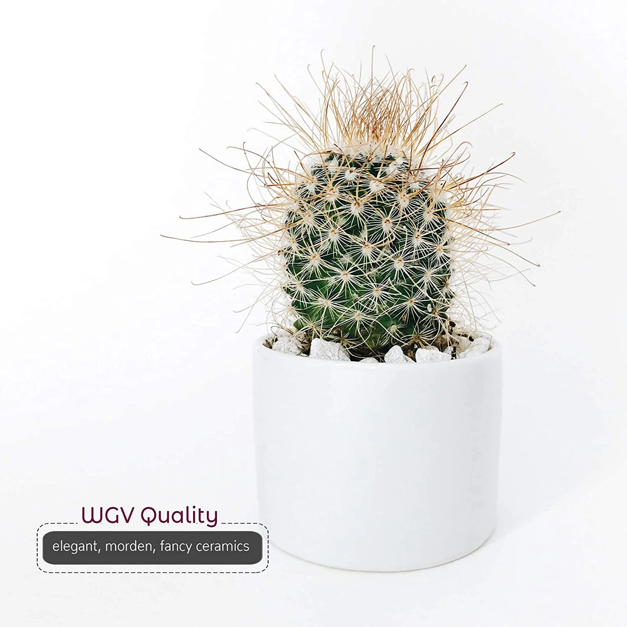 3.75" X 4" White Cylinder Ceramic - 24 Pieces 5 3.75" X 4" White Cylinder Ceramic - 24 Pieces - Image 5