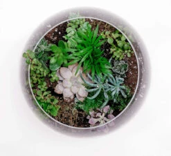 10"x8" Clear Bubble Bowl Vase - 4 Pieces -Home Decoration Discount 912yOdvZfHL. AC SL1500 15008.1663091014.1280.1280