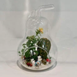 5.5" X 8" Apple Terrarium Candle Holder - 12 Pieces 11 5.5" X 8" Apple Terrarium Candle Holder - 12 Pieces -Home Decoration Discount 9198wqBSH0L. AC SL1500 50504.1661462585.1280.1280