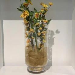 15" Hurricane Glass Vase - 2 Pieces -Home Decoration Discount 91CDGCtPrSL. AC SL1500 68682.1661946896.1280.1280