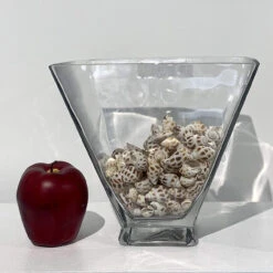 8 Inch Clear Taper Down Block Vase - 4 Pieces -Home Decoration Discount 91G 6mpp6lL. AC SL1500 60193.1662076049.1280.1280