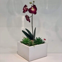 6.25" X 4" White Low Square Block - 12 Pieces -Home Decoration Discount 91Nz6RzpDkL. AC SL1500 21461.1661709462.1280.1280