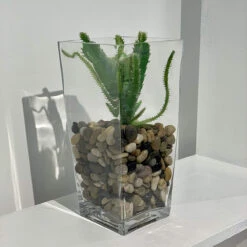 10" Taper Down Block Vase - 12 Pieces 12 10" Taper Down Block Vase - 12 Pieces -Home Decoration Discount 91TlZrhBVFL. AC SL1500 52818.1661954346.1280.1280