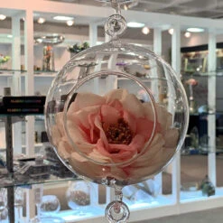 4" X 6" Hanging Round Terrarium Candle Holder, Double Hook - 48 Pieces 13 4" X 6" Hanging Round Terrarium Candle Holder, Double Hook - 48 Pieces -Home Decoration Discount 91aenqg EKL. AC SL1500 86602.1661951604.1280.1280