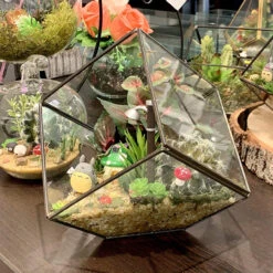 Black Tilted Cube Geometric Glass Terrarium, Heptahedron - 12 Pieces 17 Black Tilted Cube Geometric Glass Terrarium, Heptahedron - 12 Pieces -Home Decoration Discount 91byWEwAD4L. AC SL1500 47912.1661734157.1280.1280