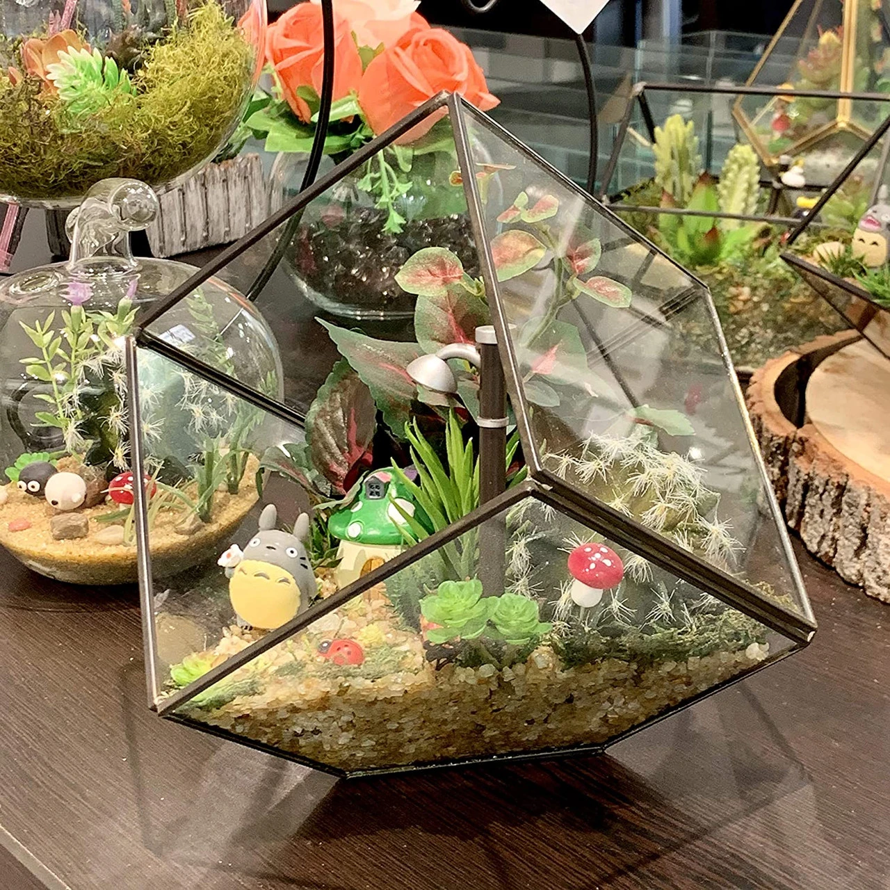 Black Tilted Cube Geometric Glass Terrarium, Heptahedron - 12 Pieces 9 Black Tilted Cube Geometric Glass Terrarium, Heptahedron - 12 Pieces - Image 9