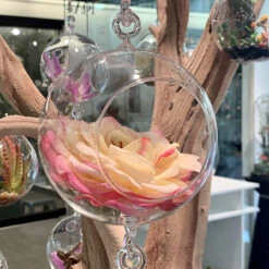 4" X 6" Hanging Round Terrarium Candle Holder, Double Hook - 48 Pieces 12 4" X 6" Hanging Round Terrarium Candle Holder, Double Hook - 48 Pieces -Home Decoration Discount 91k9YavssFL. AC SL1500 06049.1661951602.1280.1280