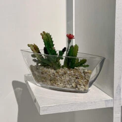 8.5" X 3" Clear Boat Vase - 36 Pieces -Home Decoration Discount 91kMVi g5fL. AC SL1500 69313.1661346340.1280.1280