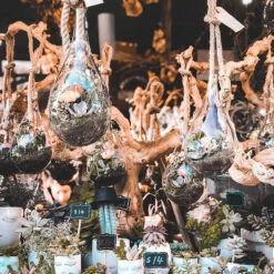 5" X 9.5" Rope Hanging Terrarium - 12 Pieces 14 5" X 9.5" Rope Hanging Terrarium - 12 Pieces -Home Decoration Discount A1PTlryG5OL. AC SL1500 38325.1661662120.1280.1280