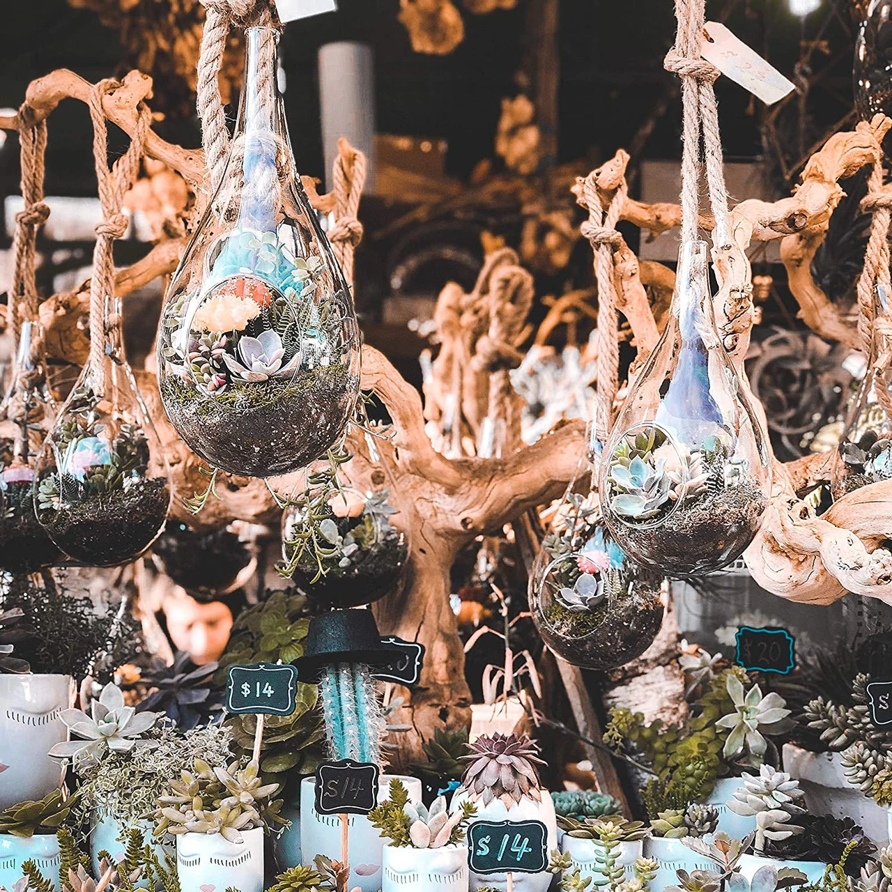 5" X 9.5" Rope Hanging Terrarium - 12 Pieces 7 5" X 9.5" Rope Hanging Terrarium - 12 Pieces - Image 7