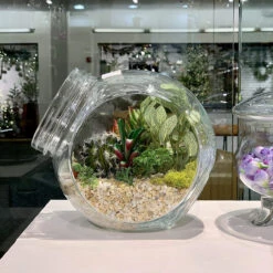 Large Tilted Cookie Jar - 6 Pieces 14 Large Tilted Cookie Jar - 6 Pieces -Home Decoration Discount A1eXUoFbGIL. AC SL1500 31382.1661703693.1280.1280