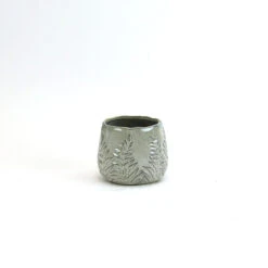 Medium Beige Reactive Ceramic Bowl With Fern Print - 12 Pieces