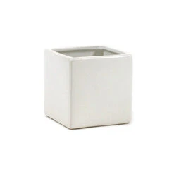 3 Inch White Square Cube - 24 Pieces