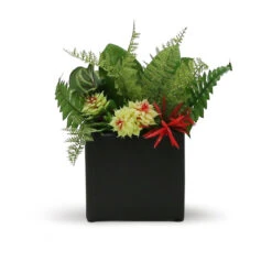 5 Inch Black Square Cube - 12 Pieces 8 5 Inch Black Square Cube - 12 Pieces -Home Decoration Discount CSQBK C1 17649 93834 16534.1657123791 07857.1663176450.1280.1280