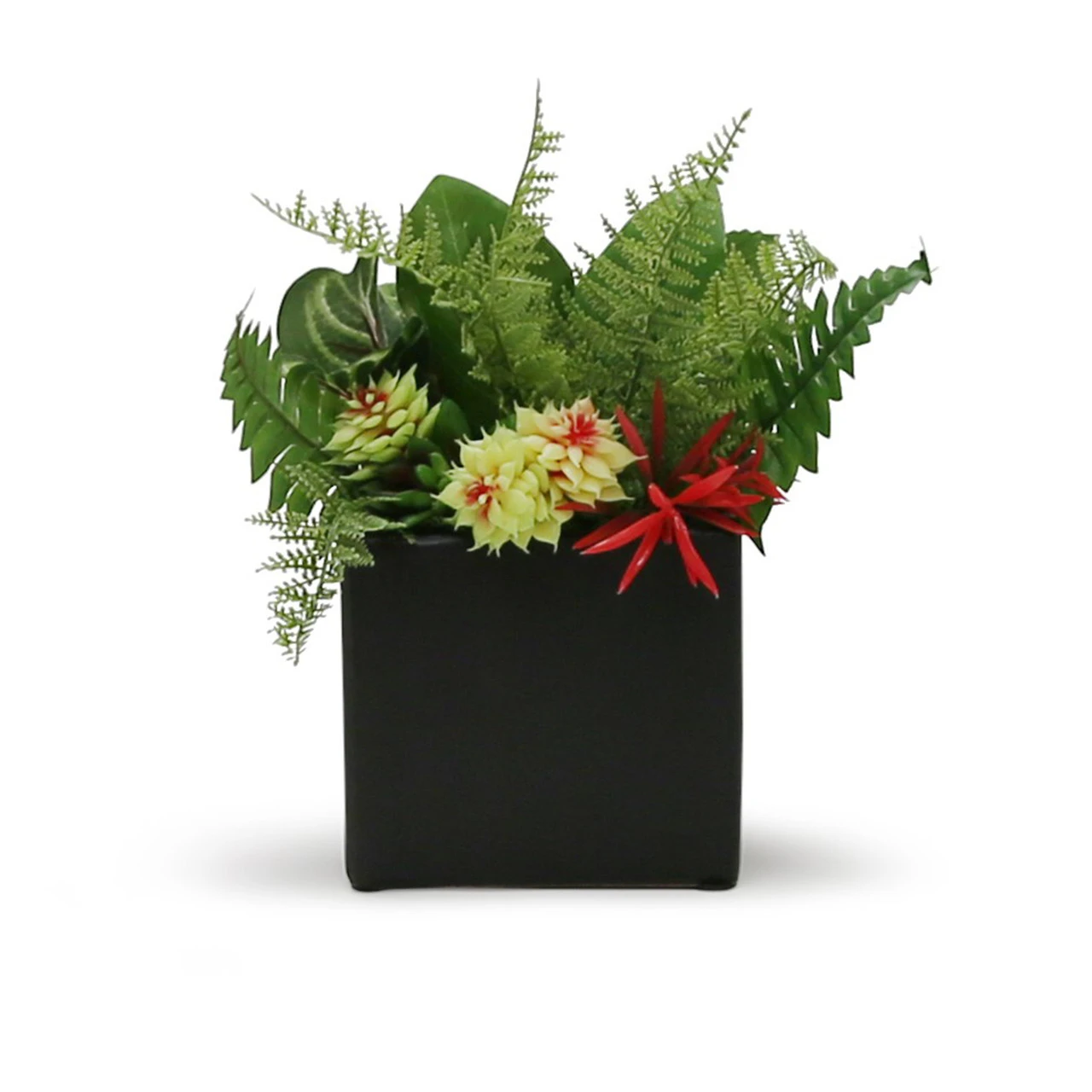 5 Inch Black Square Cube - 12 Pieces 3 5 Inch Black Square Cube - 12 Pieces - Image 3