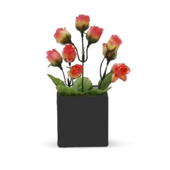 5 Inch Black Square Cube - 12 Pieces 9 5 Inch Black Square Cube - 12 Pieces -Home Decoration Discount CSQBK C3 73177 97920 89041.1657123791 75775.1663176450.1280.1280