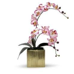 5 Inch Gold Square Cube - 12 Pieces 13 5 Inch Gold Square Cube - 12 Pieces -Home Decoration Discount CSQGX C1 84497 12511 20444.1657126260 96354.1663121354.1280.1280