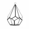 Black Tear Drop Geometric Glass Terrarium, Undecahedron - 6 Pieces