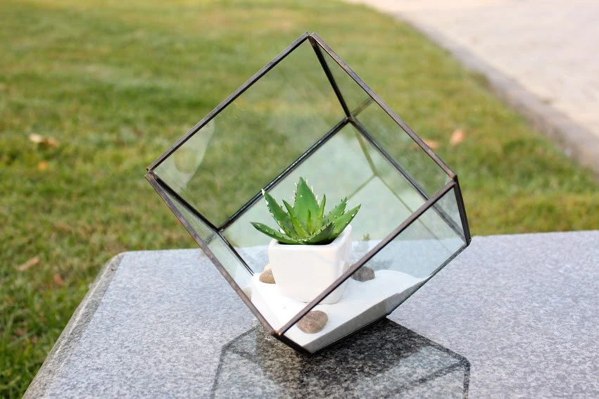 Black Tilted Cube Geometric Glass Terrarium, Heptahedron - 12 Pieces 4 Black Tilted Cube Geometric Glass Terrarium, Heptahedron - 12 Pieces - Image 4