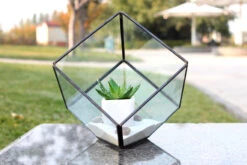 Black Tilted Cube Geometric Glass Terrarium, Heptahedron - 12 Pieces 11 Black Tilted Cube Geometric Glass Terrarium, Heptahedron - 12 Pieces -Home Decoration Discount GET0406 d2 57036.1463584433.1280.1280
