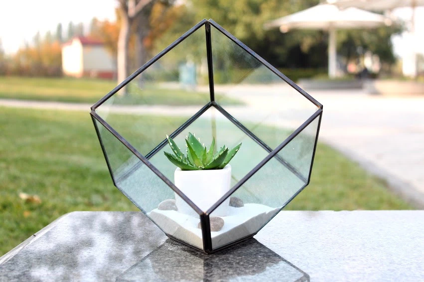 Black Tilted Cube Geometric Glass Terrarium, Heptahedron - 12 Pieces 3 Black Tilted Cube Geometric Glass Terrarium, Heptahedron - 12 Pieces - Image 3