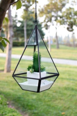 Tall Gold Raised Pyramid Geometric Glass Terrarium, Nonahedron - 9 Pieces 6 Tall Gold Raised Pyramid Geometric Glass Terrarium, Nonahedron - 9 Pieces -Home Decoration Discount GET0610 d3 88313.1463585262.1280.1280