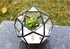 7.5" X 7.5" Geometric Glass Terrarium, Icosidodecahedron Complicated Multi-Facet, Black Frame - 4 Pieces -Home Decoration Discount GET1507 d1 40574.1463750024.1280.1280