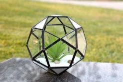 7.5" X 7.5" Geometric Glass Terrarium, Icosidodecahedron Complicated Multi-Facet, Black Frame - 4 Pieces -Home Decoration Discount GET1507 d2 67836.1463750028.1280.1280