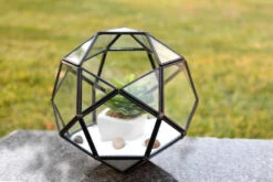 7.5" X 7.5" Geometric Glass Terrarium, Icosidodecahedron Complicated Multi-Facet, Black Frame - 4 Pieces -Home Decoration Discount GET1507 d3 73110.1463750028.1280.1280