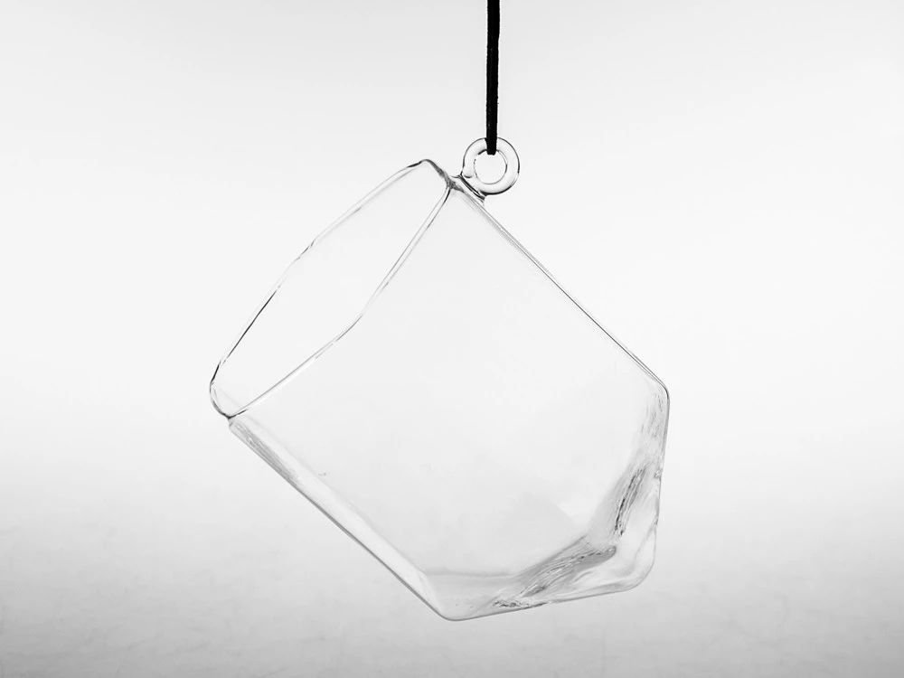 Hexagonal Frameless Geometric Glass Terrarium - 6 Pieces 2 Hexagonal Frameless Geometric Glass Terrarium - 6 Pieces - Image 2