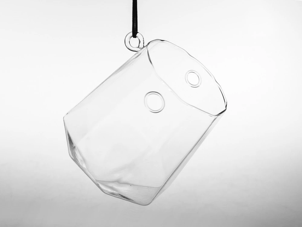 Octagonal Frameless Geometric Glass Terrarium - 6 Pieces 2 Octagonal Frameless Geometric Glass Terrarium - 6 Pieces - Image 2