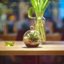 6" X 6.5" Hanging Round Terrarium Candle Holder - 18 Pieces -Home Decoration Discount HCH0106 C3 19833 91162 37134.1657123892 92779.1663139515.1280.1280