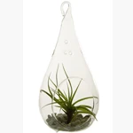 3.5" X 7" Hanging Pear Terrarium Candle Holder - 36 Pieces 3 3.5" X 7" Hanging Pear Terrarium Candle Holder - 36 Pieces - Image 3