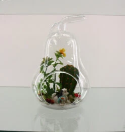 5.5" X 8" Apple Terrarium Candle Holder - 12 Pieces 10 5.5" X 8" Apple Terrarium Candle Holder - 12 Pieces -Home Decoration Discount HCH0708 D1 71480.1465011025.1280.1280