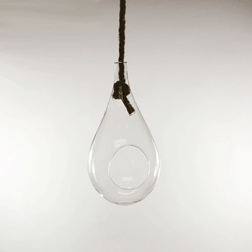 5" X 9.5" Rope Hanging Terrarium - 12 Pieces 4 5" X 9.5" Rope Hanging Terrarium - 12 Pieces - Image 4