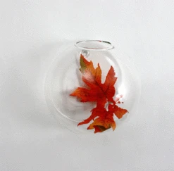 6" Diameter Glass Terrarium - 24 Pieces -Home Decoration Discount HCH1106 32198.1661957168.1280.1280