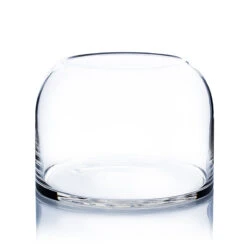 Clear Dome Shape Terrarium Bowl Glass Vase, 7 Inches High - 4 Pieces