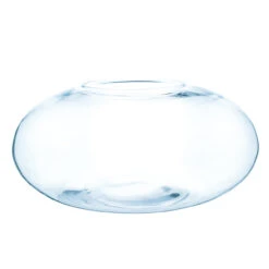 15" X 7.5" Clear Flat Oval Bubble Bowl Vase - 2 Pieces