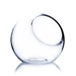 5.5" X 5.7" Clear Slant Bubble Bowl Vase - 12 Pieces