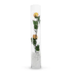 4" X 24" Cylinder Glass Vase - 6 Pieces -Home Decoration Discount VCY0424 C1 19111 45742 31320 08442.1667349049.1280.1280
