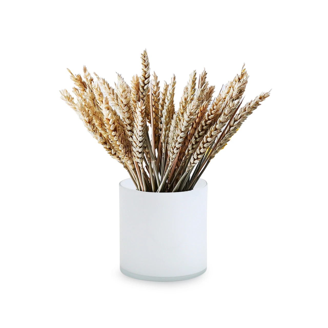 5" X 5" White Cylinder Glass Vase - 12 Pieces 5 5" X 5" White Cylinder Glass Vase - 12 Pieces - Image 5