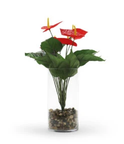 6" X 10" Clear Cylinder Vase - 6 Pieces -Home Decoration Discount VCY0610 1 12334.1628626102 41468.1647671080.1280.1280
